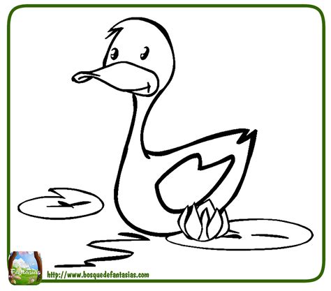Dibujos De Patos ® Imágenes De Patos Y Patitos Para Colorear