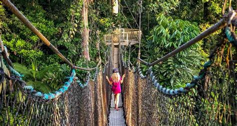 Visit The Iwokrama Canopy Walkway Guyana And Atta Rainforest Lodge