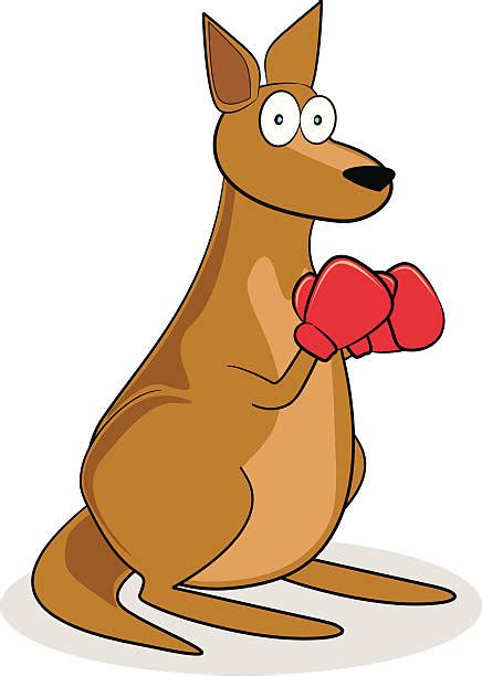 Boxing Kangaroo Cartoon Images