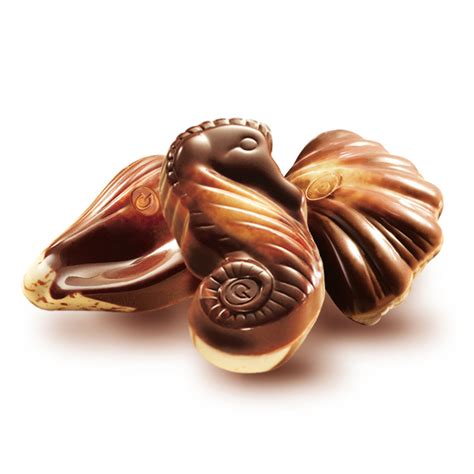 Guylian Original Belgian Chocolate Sea Shells Oz