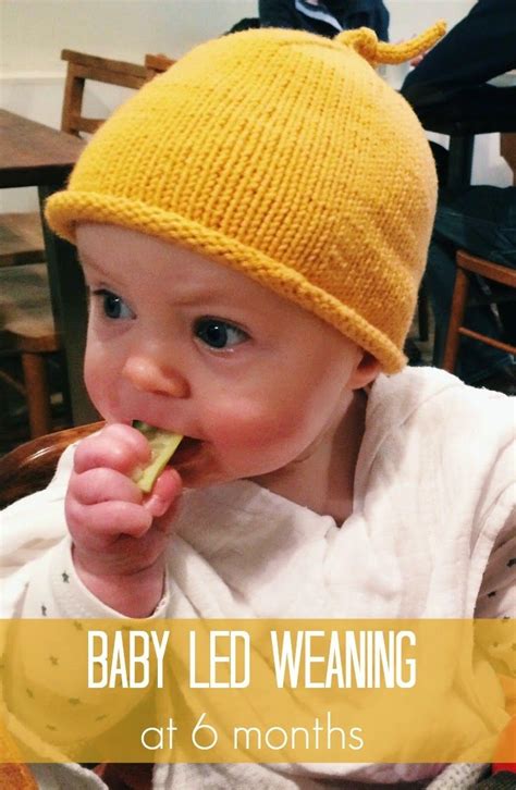We did not find results for: Baby Led Weaning :: At 6 Months :: | Baby led weaning, Led ...