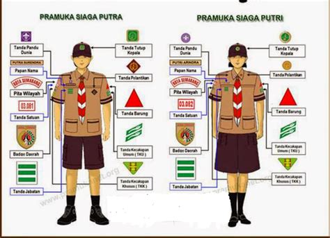 Metamorfosa Rd Atribut Lengkap Pramuka Indonesia