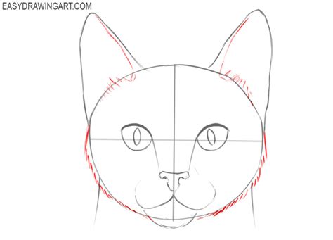 How To Draw A Cat Face Easy Drawing Art