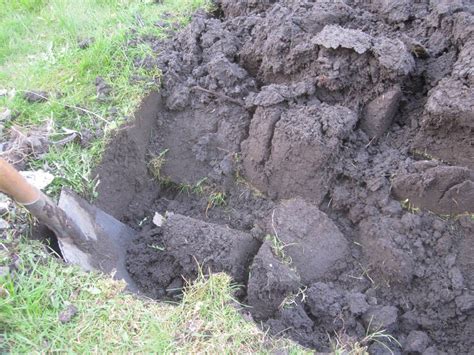 Maybe you would like to learn more about one of these? Garten Umgraben Kosten