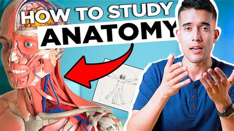 How To Study Anatomy In Medical School Youtube