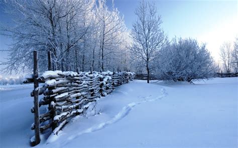 Winter Snow Scenes Wallpaper ·① WallpaperTag