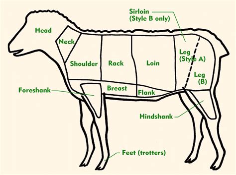 Andrew file system (afs) ended service on january 1, 2021. Sheep / Lamb Charts Enlarged