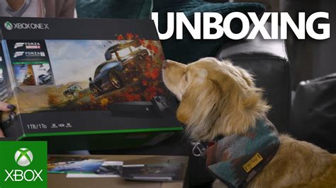 Og Xbox 360 Gamerpics Dog Gamer Doge Youtube Want To