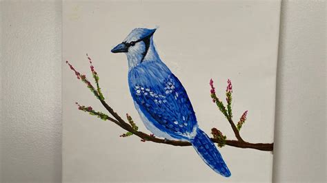 Easy Blue Jay Bird Painting For Beginners How To Paint A Blue Jay