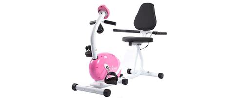 The variation provides a complete, timed workout. Sunny Health & Fitness Pink Recumbent Bike Review ...