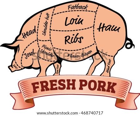 Preparations of pig parts into specialties include: Pork Pig Cuts Pork Meat Cuts Stock Vector (Royalty Free ...