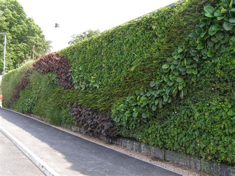 ‘Living wall’, Derby | Making Lewes