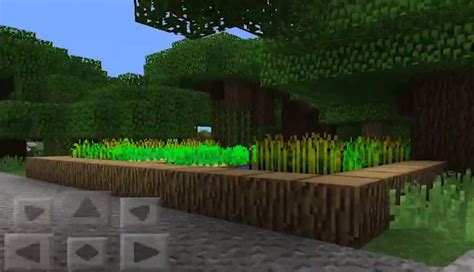 Celebrate Roofed Forest Village And Extreme Hills Minecraft Pe Seeds