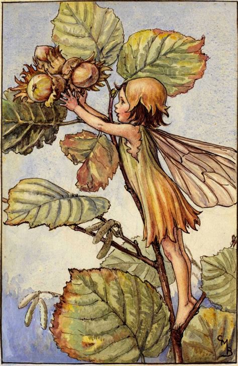 The Fairies Of The Autumn Archives Flower Fairies