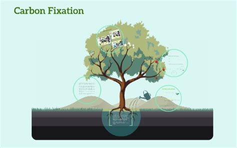 It is a gas at standard temperature and pressure and exists in earth's atmosphere in this state. Carbon fixation by Jiang Godric