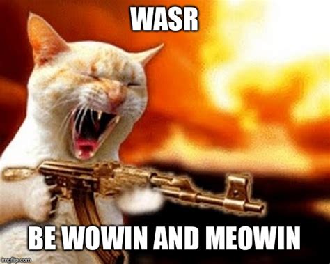 Machine Gun Cat Imgflip