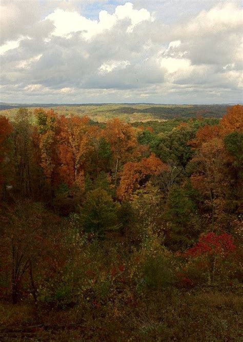 Top 5 Fall Foliage Destinations In Indiana Indys Child Parenting