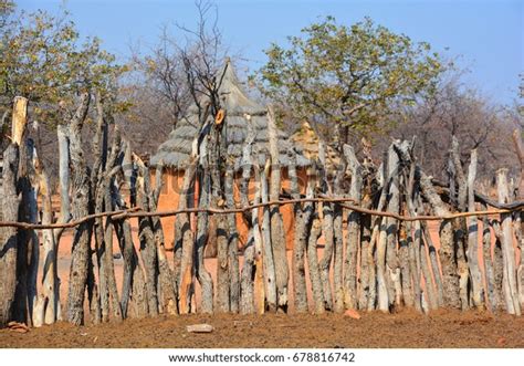 Traditional Wooden Kraal Enclosure Cattles Himba 스톡 사진 678816742