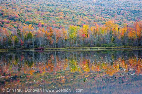 (we worked hard and can't wait to share the results. Elbow Pond Cabin Community - Woodstock, New Hampshire