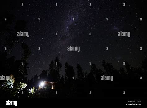 Milky Way And Stars In The Sky Over Woods In Los Pellines Chile Stock