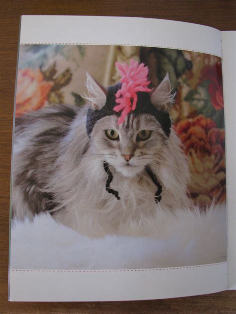 Cats In Hats 30 Knit And Crochet Hat Patterns For Your Kitty By Sara