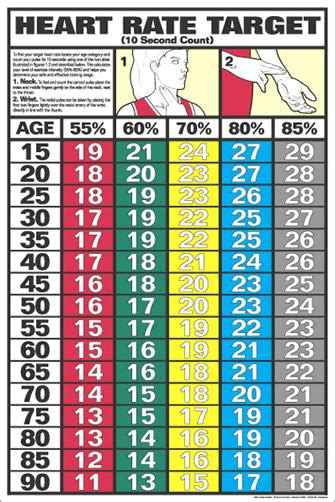 Heart Rate Target Cardiovascular Fitness Workout Wall Chart Poster