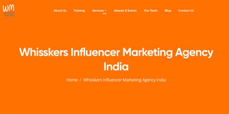 11 Best Influencer Marketing Agency India 2023
