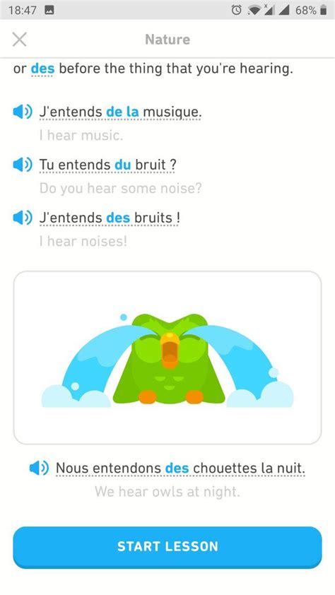 Why Is Duo Crying Rduolingo