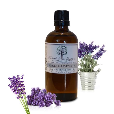 Organic English Lavender Essential Oil Pure Etsy