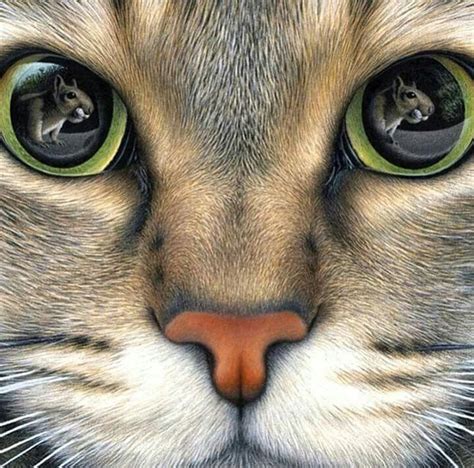 Amazing Drawing Love The Reflection In The Cats Eyes Animala