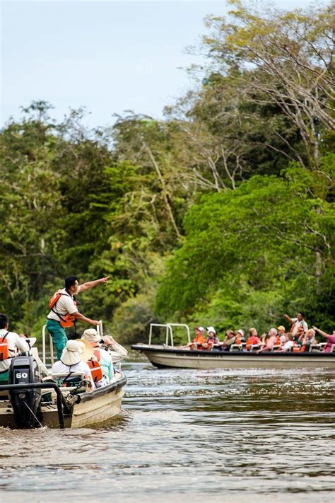 Amazon Rainforest Peru Amazon Rainforest Cruise Travel Rainforest