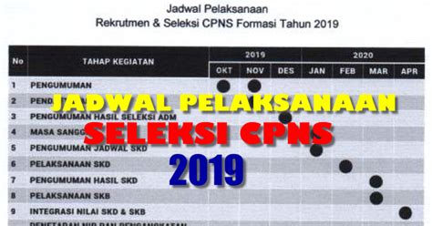 Resmi Inilah Jadwal Pelaksanaan Dan Seleksi Cpns 2019 Dari Menpan Rb