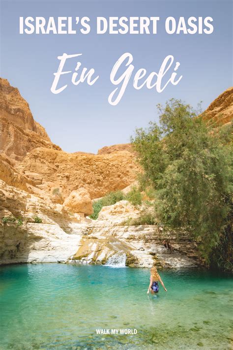 Ein Gedi Desert Oasis A Highlight Of Israel — Walk My World
