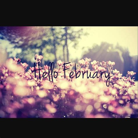 Hello February ️ Hellofebruary Welcome February Winte Flickr