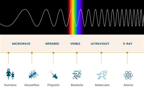 Electromagnetic Spectrum Ef Definition Optimus Medica