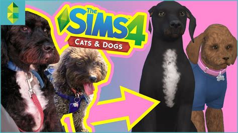 Making My Real Pets In The Sims 4 Cats And Dogs Youtube