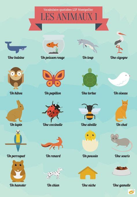 31 Ideas De FranÇais Les Animaux Aprender Francés Enseñanza De