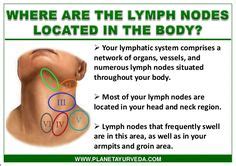 In the case of large growths and tumors that have actually spread to the lymph nodes and other organs or tissue, your doctor may advise radiation, as well as. lymph node in neck, head - locations | Medical Confetti ...