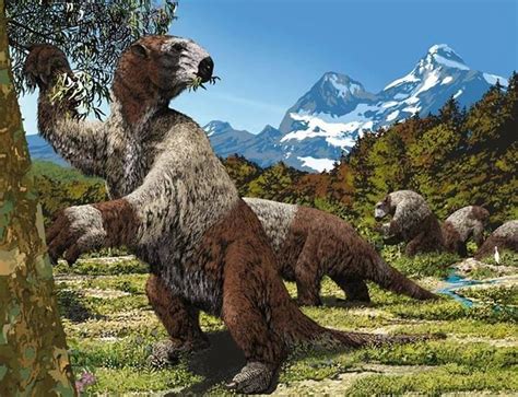 Megatherium Giant Sloth Still Alive Megafauna I Wish Were Still