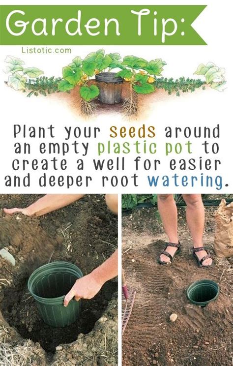 20 Insanely Clever Gardening Tips And Ideas Flowers And Vegetables