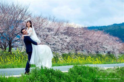 Japan Cherry Blossom Blissful Brides Wedding Banquet