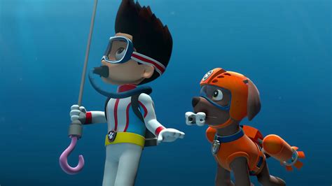 Watch Paw Patrol Season 1 Episode 14 Pups Save The Bay Full Show On Cbs All Access