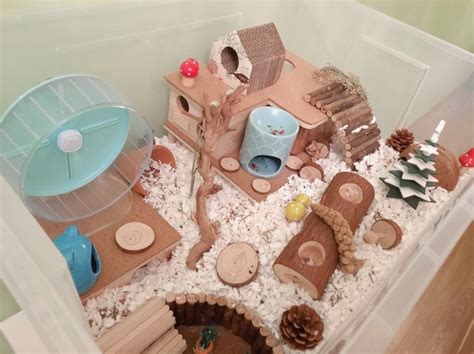 Hamsterscaping Hamster Cages Hamster Toys Hamster Diy