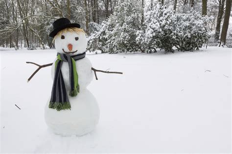 All year long you and your office coworkers have had lots of work to complete and you want to give everyone a good laugh at the holiday party. Montgomery Parks Launches Snowman Contest | Montgomery ...