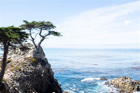 A Quick Guide To 17 Mile Drive In Pebble Beach California