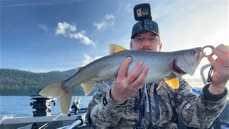 Best Lake Trout Lure Grabs A Few Trolling On A Slow Morning Youtube
