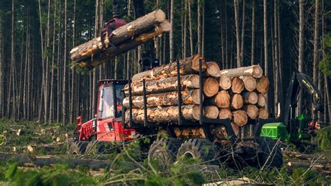 Timber Harvesting Jobs Lost In Sa And Tasmania As China Widens Ban On