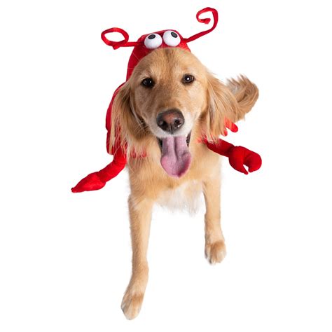 Dog Costume Description Pet Krewes Dog Lobster Costume Is A Cute And