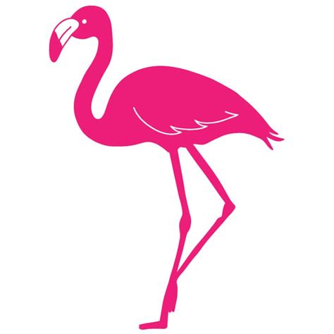 Flamingo Svg Flamingo Outline Svg Flamingo Cut File Flamingo Etsy