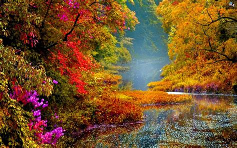 Colorful Scenery Images Yahoo Image Search Results